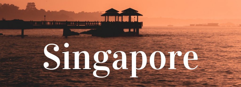 Travel to Singapore